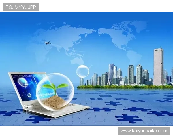 提升购物效率，使用开云官方网站入口导航轻松找到心仪产品